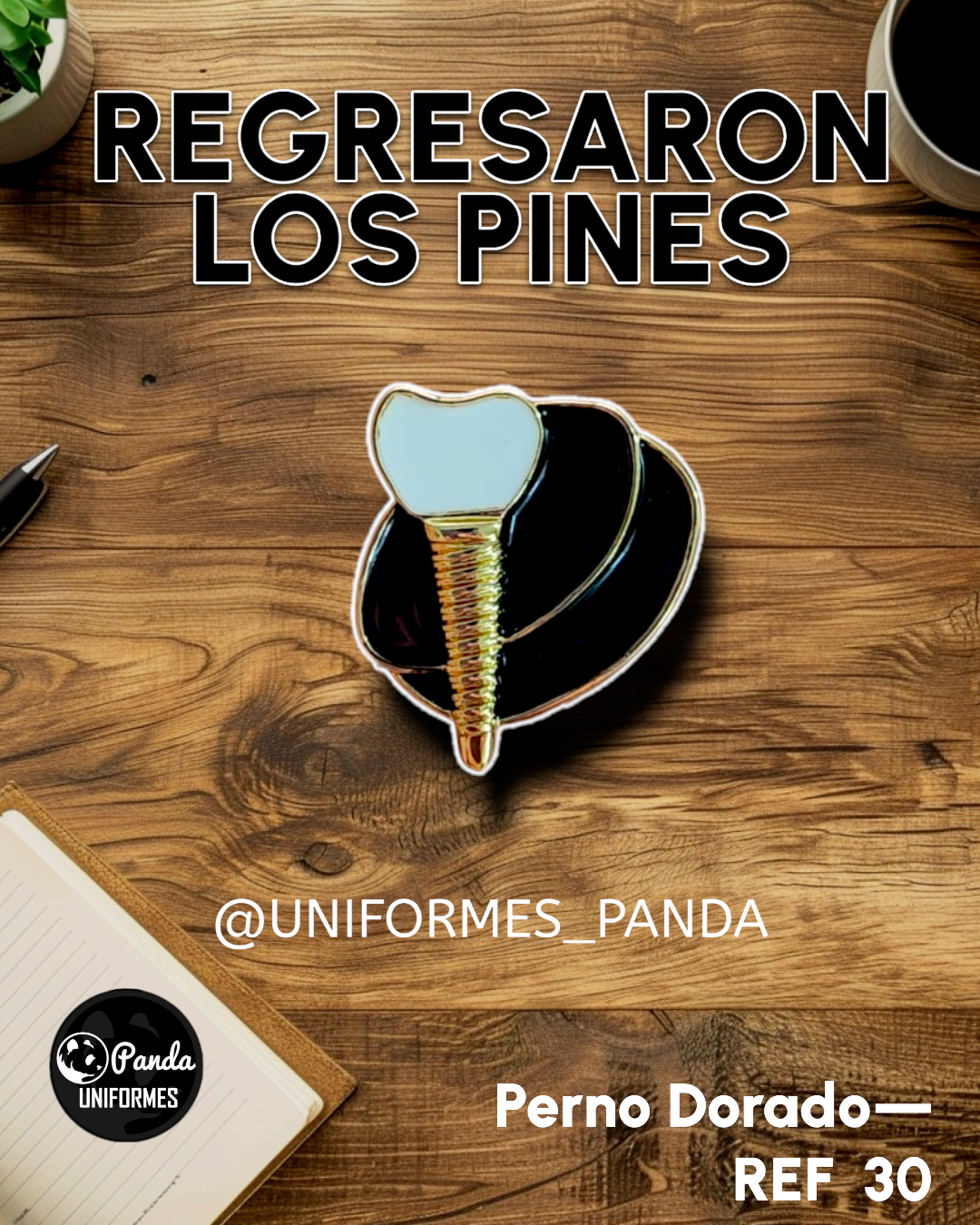PIN SALUD